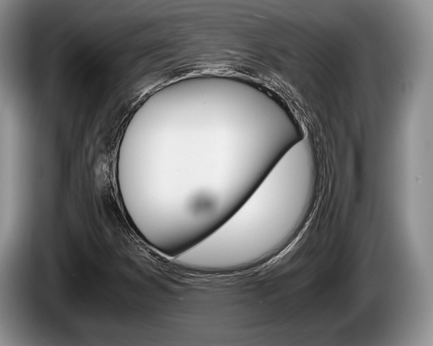 X0000087561353200704270918