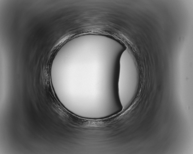 X0000087561354200704270918
