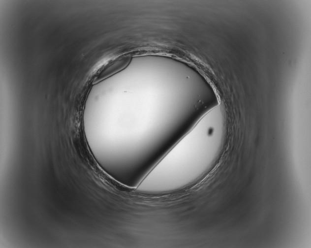 X0000087561355200704270918