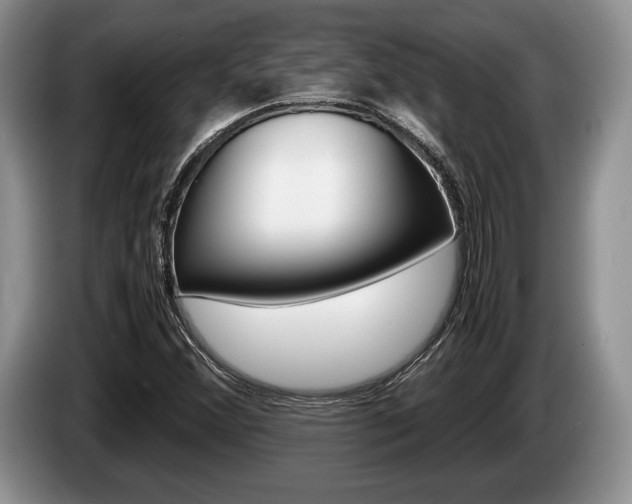 X0000087561356200704270918