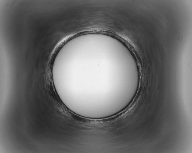 X0000087561358200704270918