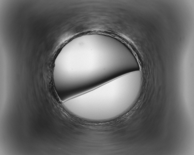 X0000087561359200704270918