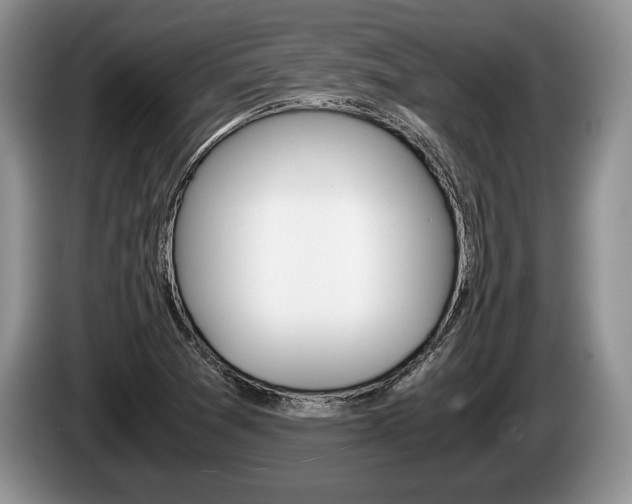 X0000087561361200704270918