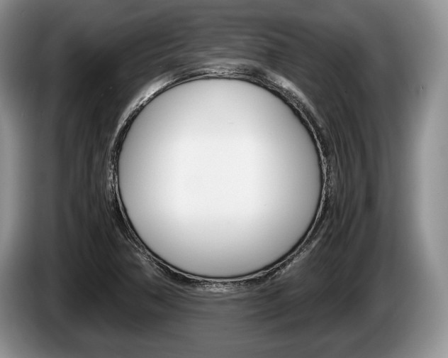 X0000087561362200704270918