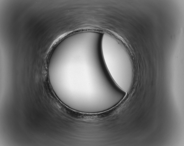 X0000087561363200704270918