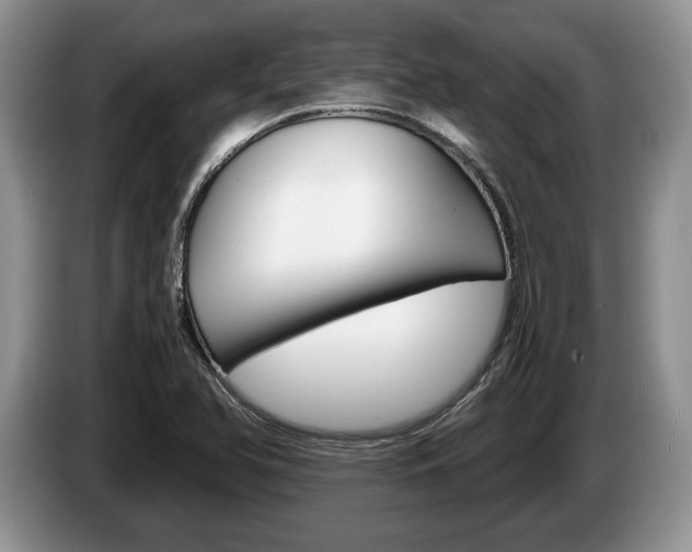 X0000087561366200704270918