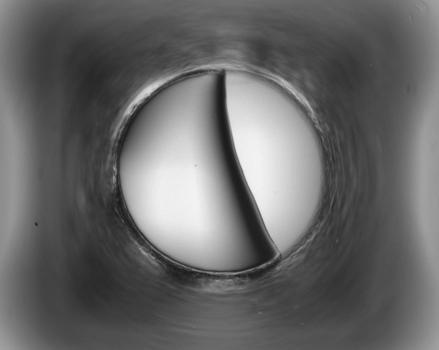 X0000087561367200704270918