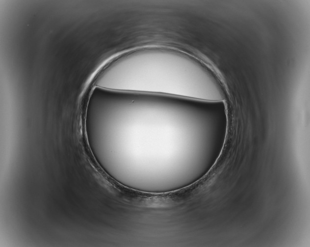X0000087561368200704270918