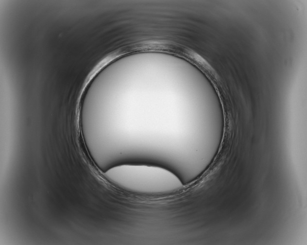 X0000087561370200704270918