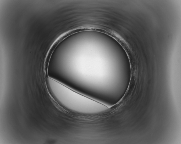 X0000087561372200704270918