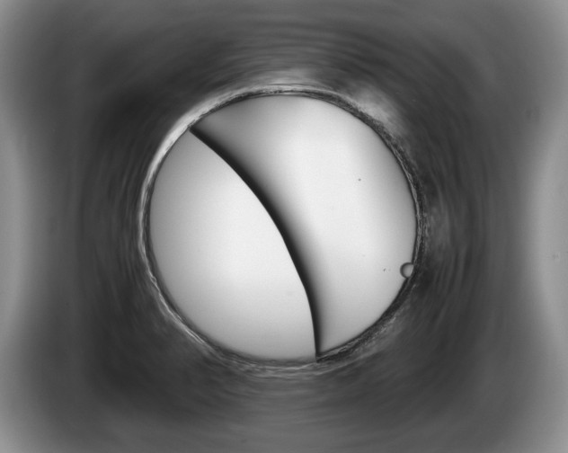 X0000087561374200704270918
