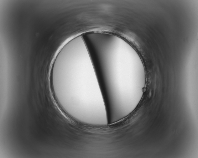X0000087561375200704270918
