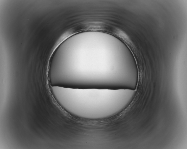 X0000087561378200704270918