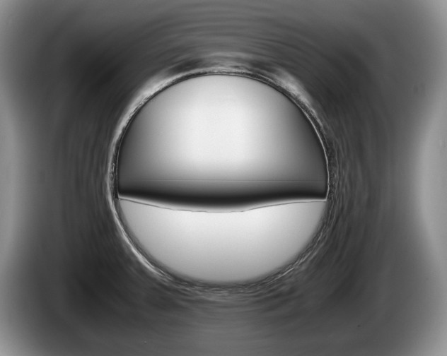 X0000087561379200704270918