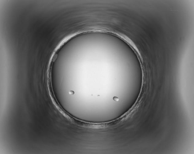X0000087561381200704270918