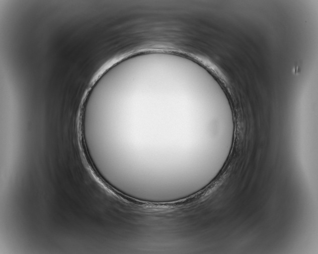 X0000087561382200704270918