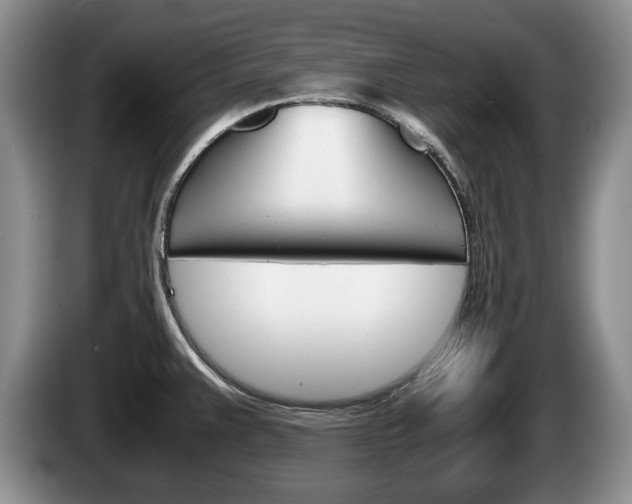 X0000087561383200704270918