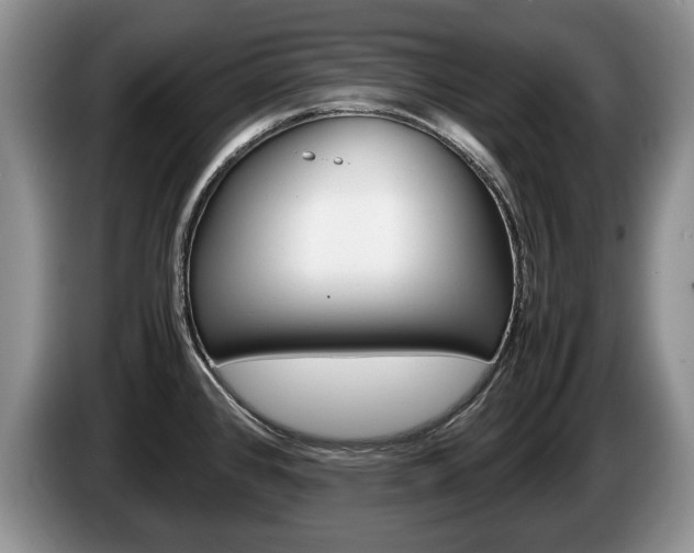 X0000087561384200704270918