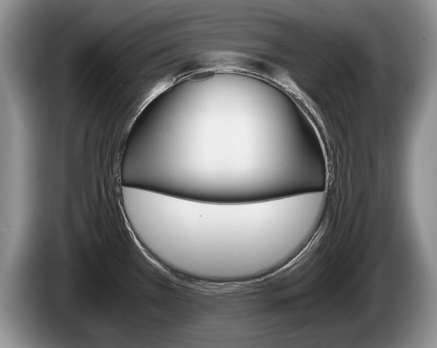 X0000087561385200704270918