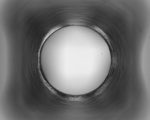 X0000087561386200704270918