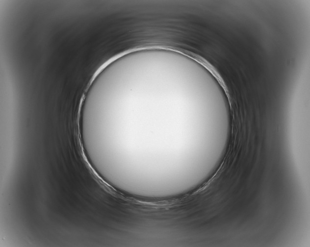 X0000087561388200704270918