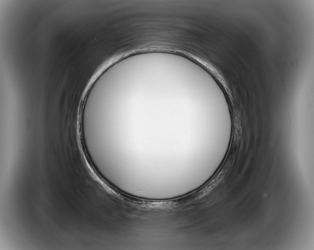 X0000087561390200704270918