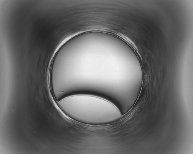 X0000087561391200704270918
