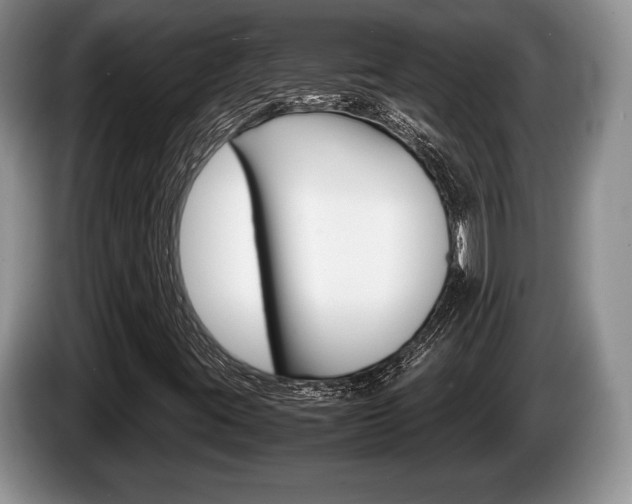 X0000087561395200704270917