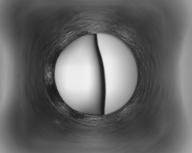 X0000087561396200704270917