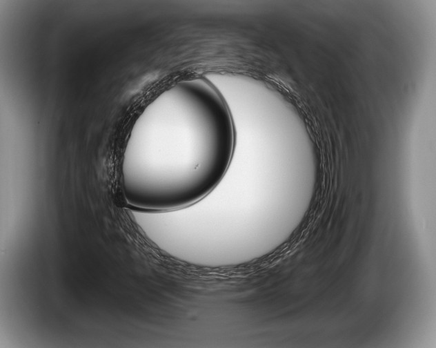 X0000087561398200704270917