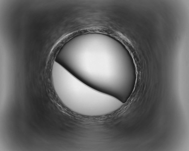 X0000087561400200704270917