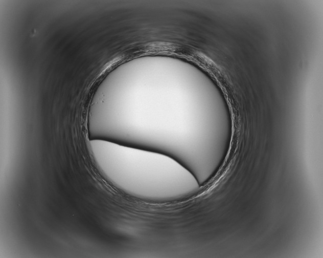 X0000087561401200704270917