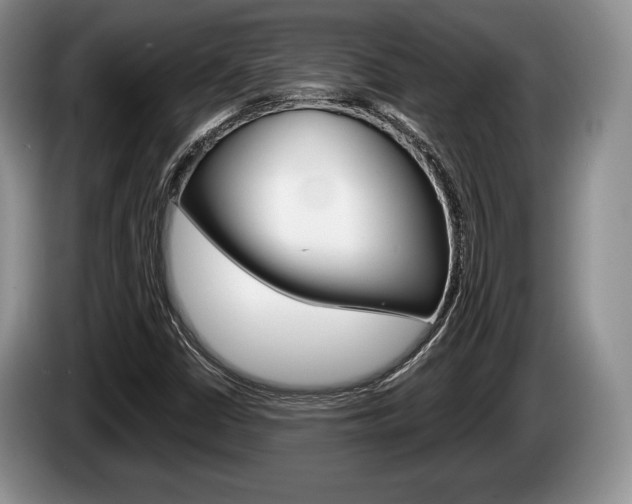 X0000087561402200704270917