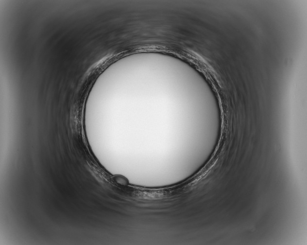 X0000087561403200704270917