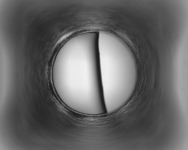 X0000087561404200704270918