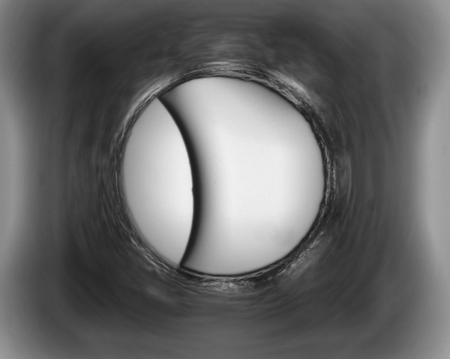 X0000087561405200704270918