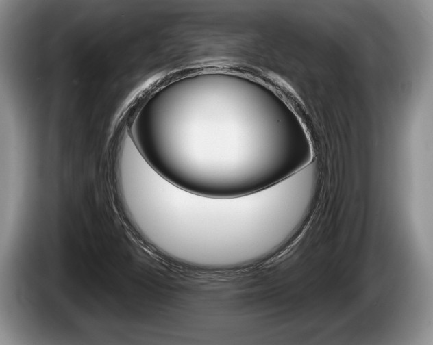 X0000087561406200704270918