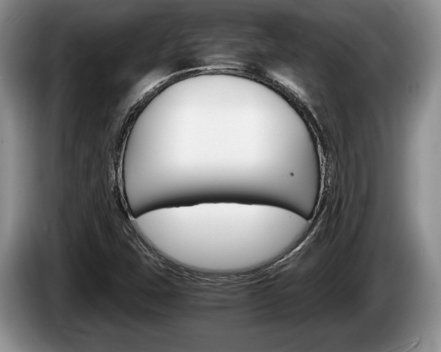 X0000087561407200704270918
