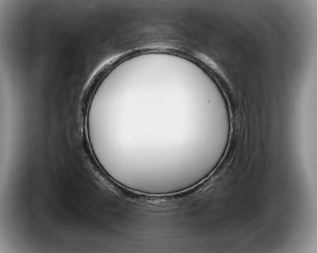 X0000087561408200704270918