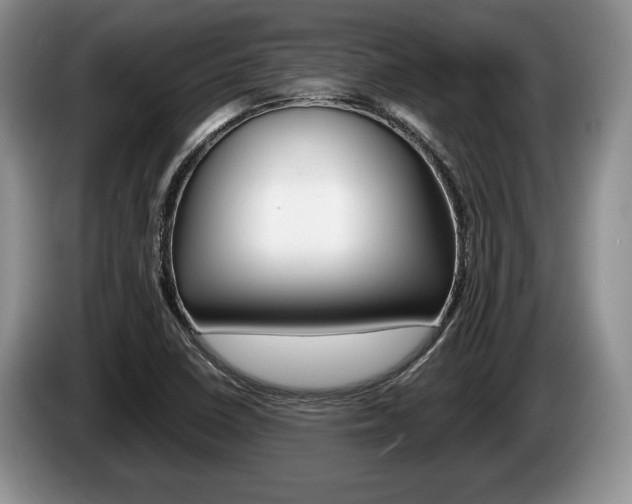 X0000087561410200704270918