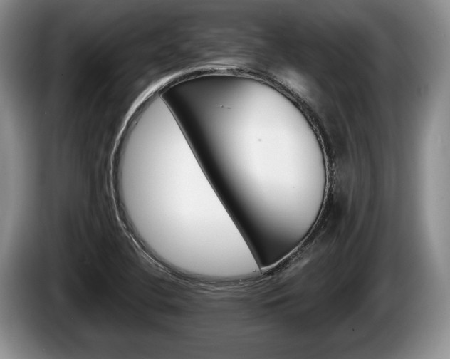 X0000087561412200704270918
