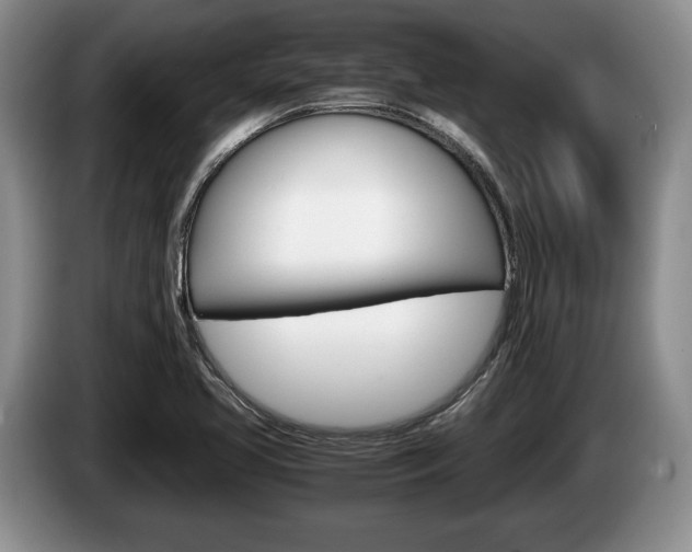 X0000087561413200704270918