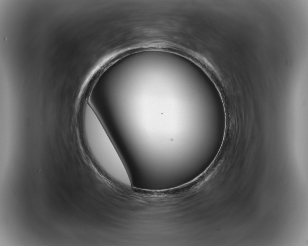 X0000087561414200704270918