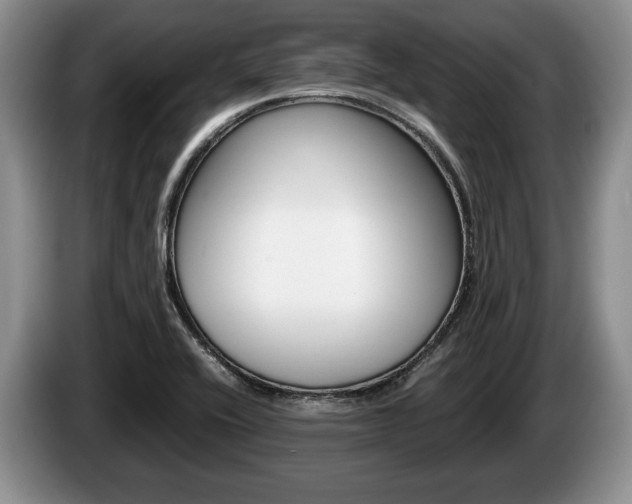 X0000087561416200704270918