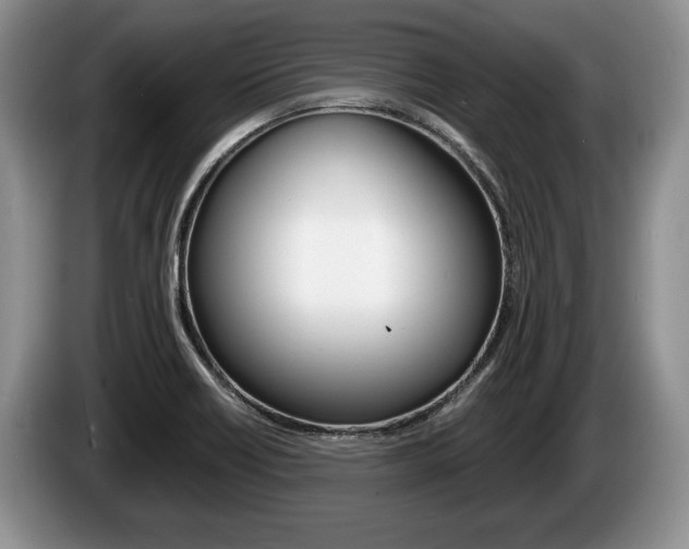 X0000087561418200704270918
