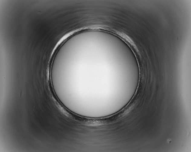 X0000087561420200704270918