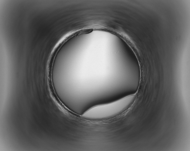 X0000087561422200704270918