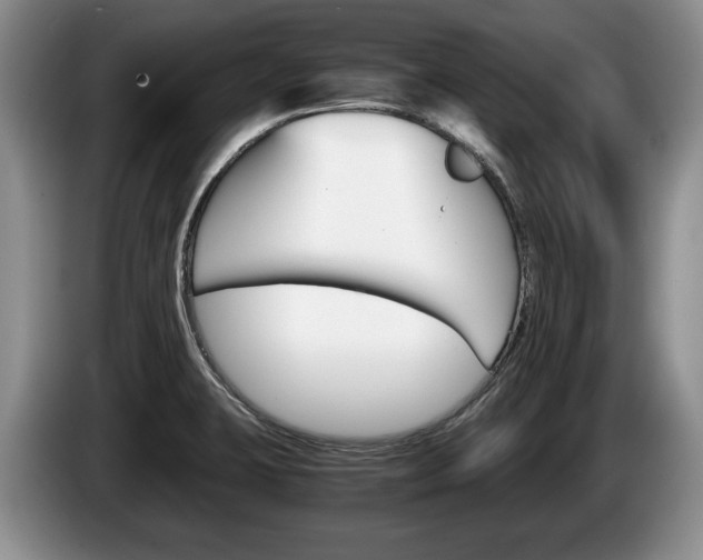 X0000087561423200704270918
