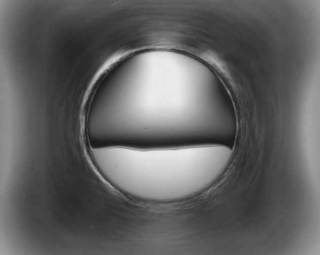 X0000087561424200704270918