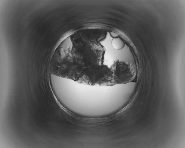 X0000087561425200704270918